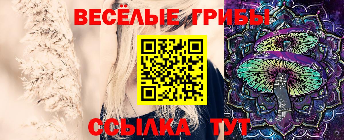 Псилоцибиновые грибы ЛСД  Вход с VPN  Усть-Илимск 